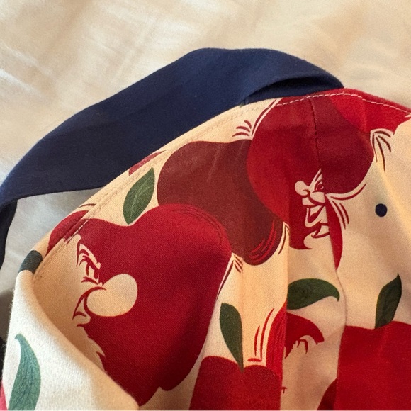 Disney Parks Snow White Poison Apple Dress Seven Dwarfs Size Large RARE - Picture 13 of 13